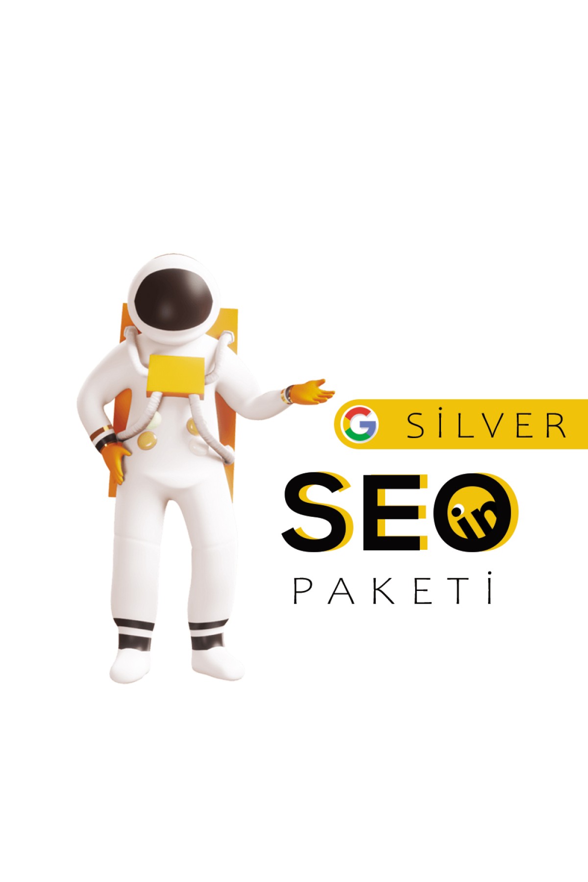İn-Silver Seo Paketi İn-Silver Seo Paketi